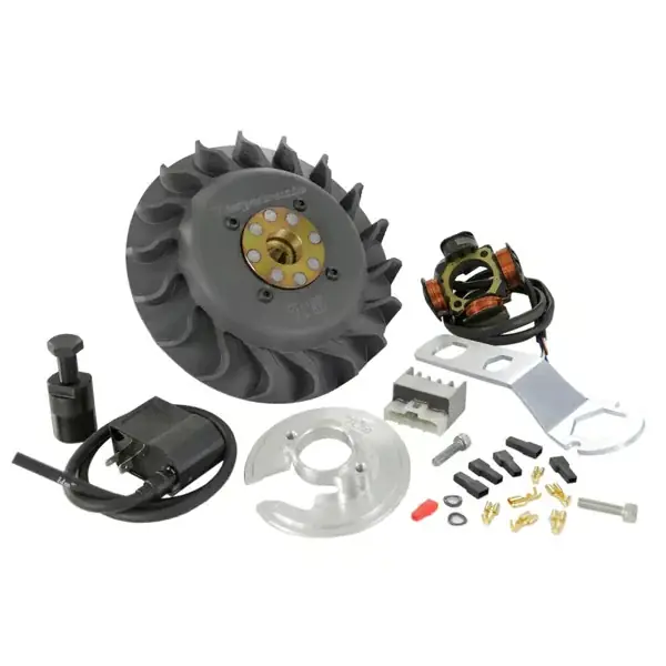 Scelto dai clienti | 50004500 - Accensione VESPATRONIC per Vespa 125 T5