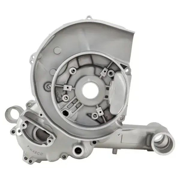 Compra online | 78245400 - Carter PINASCO "Master" per Vespa 125 T5