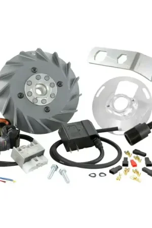 50004020 - Accensione VESPATRONIC per Vespa 125 VNA/VNB/GT/GTR 1°/Super/TS 1°/150 VBA/VBB/T4/GL/Sprint/V 1°/Super 1° - Approfittane ora