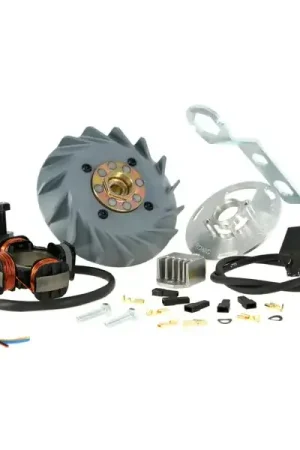 50005300 - Accensione VESPATRONIC per Vespa 125 GTR 2°/TS 2°/150 Sprint V 2°/Super 2°/200 Rally 2°/PX80-200/PE/Lusso/Cosa | Affare