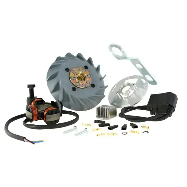 50005300 - Accensione VESPATRONIC per Vespa 125 GTR 2°/TS 2°/150 Sprint V 2°/Super 2°/200 Rally 2°/PX80-200/PE/Lusso/Cosa | Affare