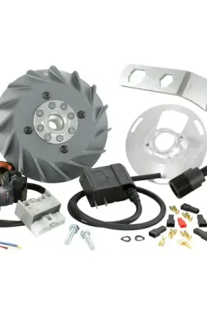 Soddisfatti o rimborsati - 50004010 - Accensione VESPATRONIC per Vespa 125 VNA/VNB/GT/GTR 1°/Super/TS 1°/150 VBA/VBB/T4/GL/Sprint/V 1°/Super 1°