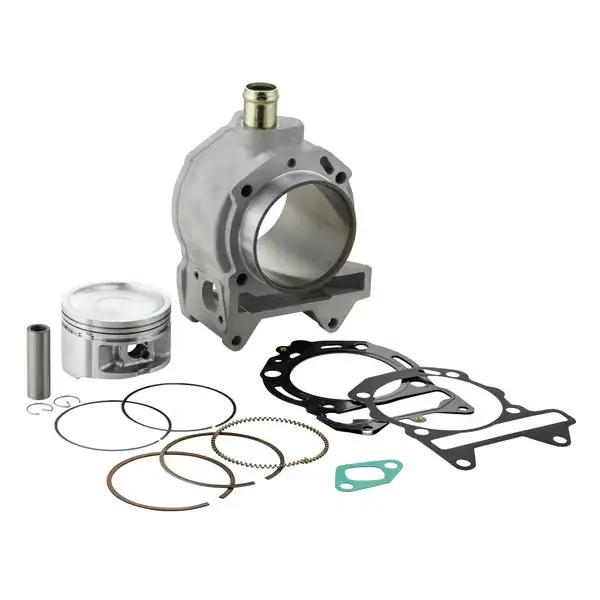 Ordina ora - PI843291 - Cilindro SIP 200 cc