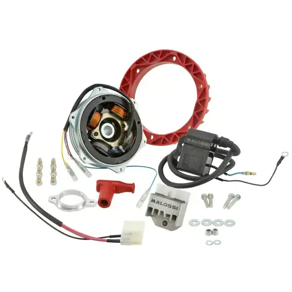 Grande successo - M5517192 - Accensione MALOSSI Power 12V