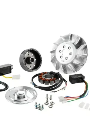 Acquista online - 51007AT0 - Accensione SIP PERFORMANCE by VAPE Touring 12 V CA 2 curve di accensione per Vespa 125 GTR 2°/​TS 2°/​150 Sprint V 2°/​Super 2°/​200 Rally 2°/​PX80-200/​PE/​Lusso/​Cosa