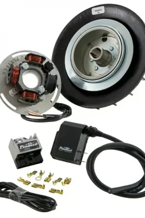 Spedizione veloce | 25356832 - Accensione PINASCO FLYTECH per Vespa 125 GTR 2°/TS 2°/150 Sprint V 2°/Super 2°/200 Rally 2°/PX80-200/PE/Lusso/Cosa