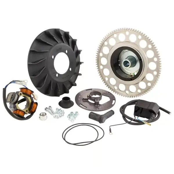 17105500 - Accensione POLINI digital per Vespa 125 GTR 2°/TS 2°/150 Sprint V 2°/Super 2°/200 Rally 2°/PX80-200/PE/Lusso /Cosa | Offerta imperdibile