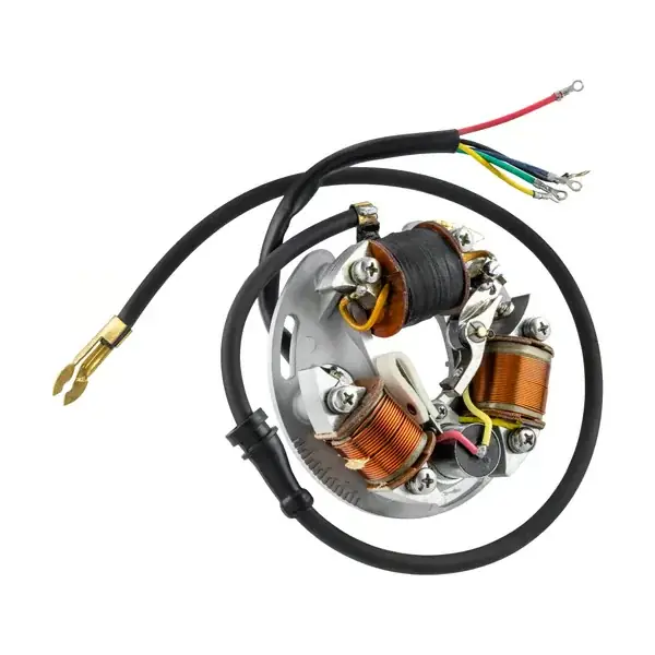 Direttamente dal produttore | 55162000 - Statore SIP 6V