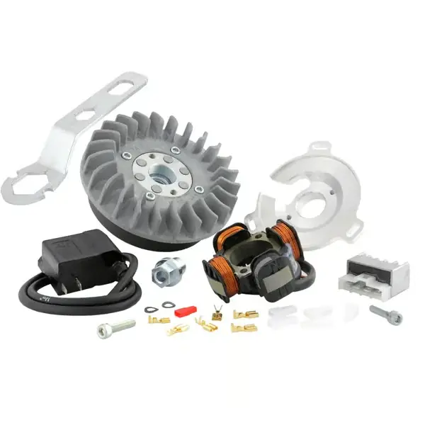 50008500 - Accensione SEIGIORNI VARITRONIC per Lambretta 150 D/LD - Ordina subito