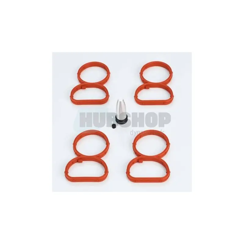 KIT FLAP DELETE BMW N47 - Saldi