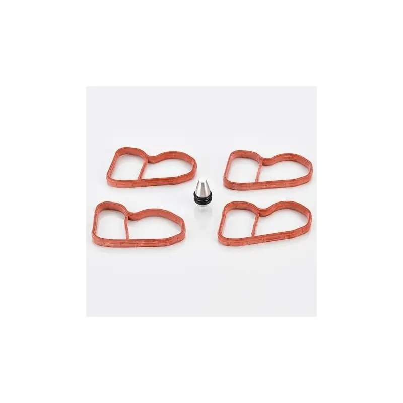 KIT FLAP DELETE BMW B47 | Grande offerta