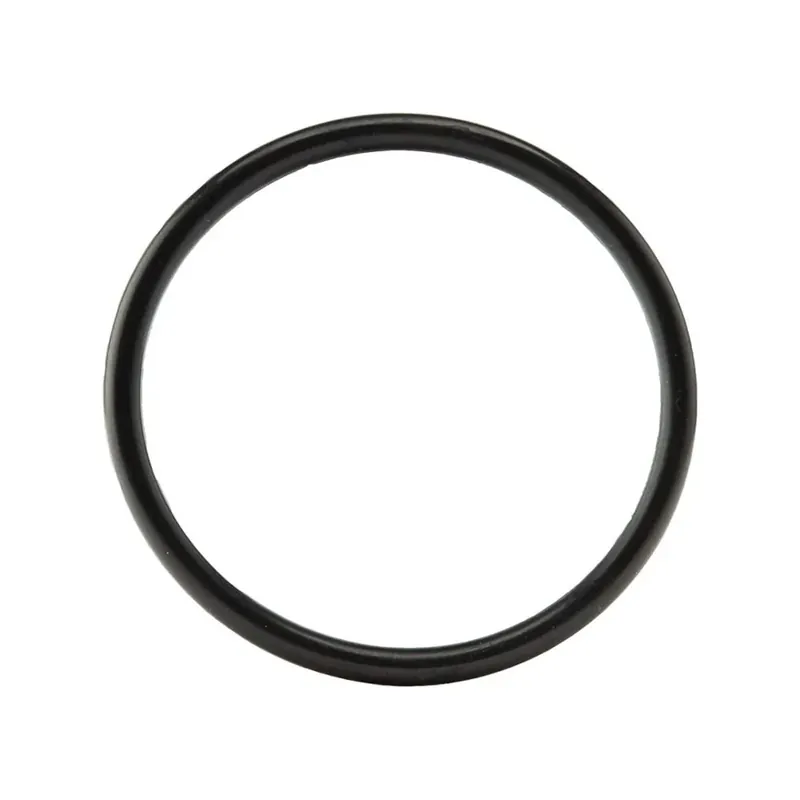 Quasi esaurito - O-Ring di Ricambio per Tappo Tanica VP Racing